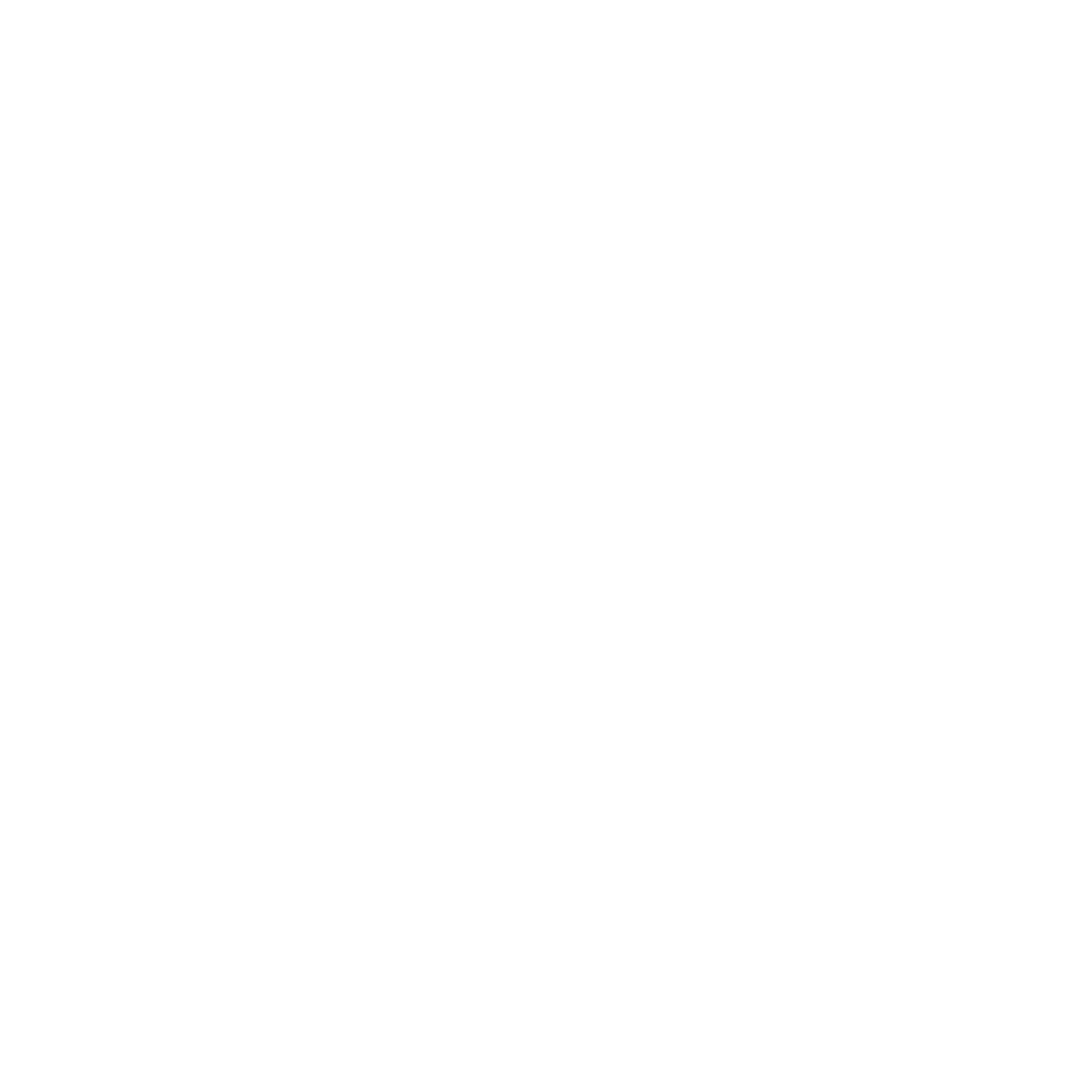 SAFE Guarding Youth Icon